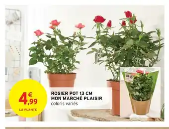 Rosier Pot 13cm Mon Marché Plaisir