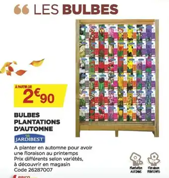 Bricomarché Bulbes plantations d'automne offre