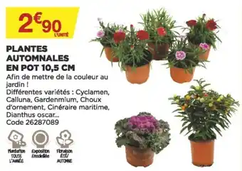 Bricomarché Plantes automnales en pot offre