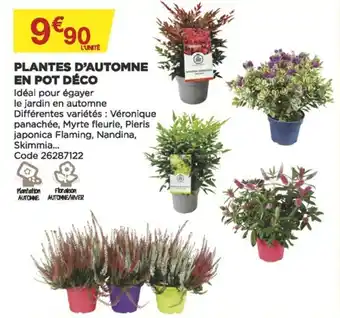 Bricomarché Plantes d'automne en pot déco offre