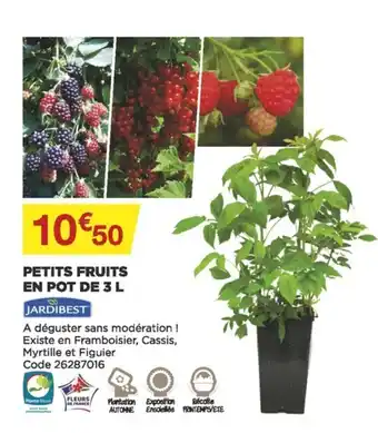 Bricomarché Petits fruits en pot de 3 L offre