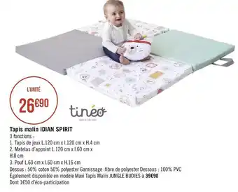 Tinéo tapis malin idian spirit