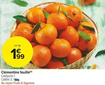 Carrefour Market Clémentine feuille offre