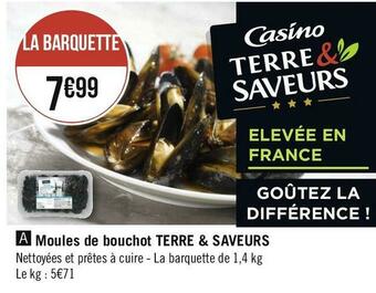 Terre & saveurs moules de bouchot