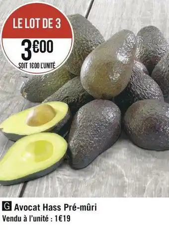 Avocat hass pré-mûri