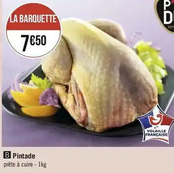 Pintade