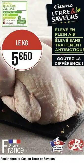 Casino poulet fermier terre et saveurs