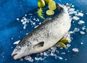 SAUMON ATLANTIQUE ENTIER VIDÉ