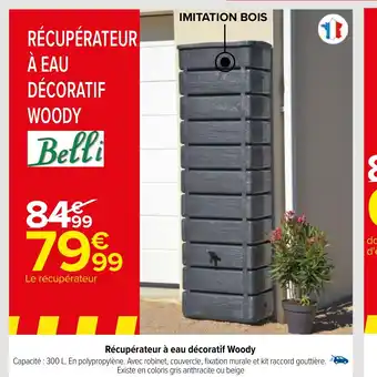 Carrefour Récupérateur à eau décoratif Woody offre