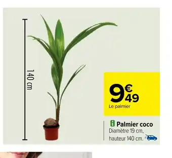 Carrefour i Palmier coco offre