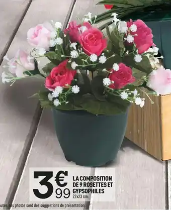 Centrakor La composition de 9 rosettes et gypsophiles offre