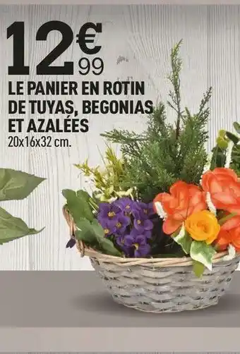 Centrakor Le panier en rotin de tuyas, begonias et azalées offre