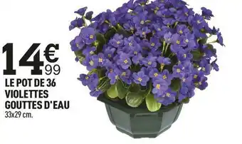 Centrakor Le pot de 36 violettes gouttes d'eau offre