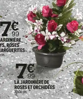Centrakor La jardinière de roses et orchidées offre