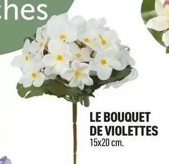 Le bouquet de violettes
