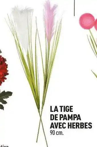 Centrakor La tige de pampa avec herbes offre