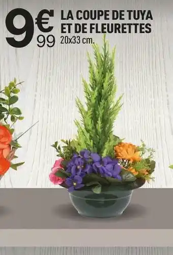 Centrakor La coupe de tuya et de fleurettes offre