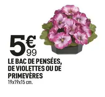 Centrakor Le bac de pensées, de violettes ou de primevères offre