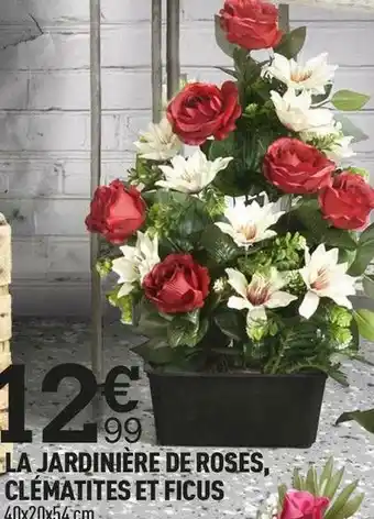 Centrakor La jardinière de roses, clématites et ficus offre