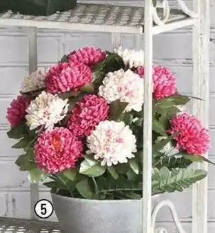 La coupe de zinnias