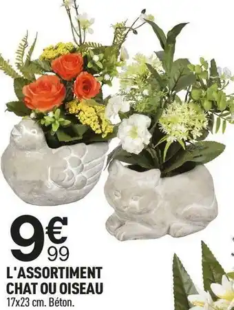 Centrakor L'assortiment chat ou oiseau offre