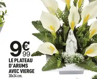 Centrakor Le plateau d'arums avec vierge offre
