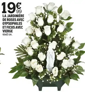 Centrakor La jardinière de roses avec gypsophiles et ficus avec vierge offre