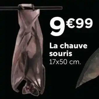 La chauve souris