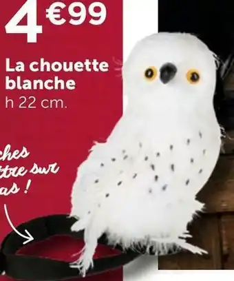 Zoé Confetti La chouette blanche offre