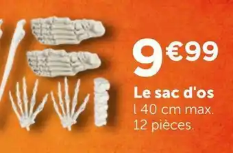 Le sac d'os