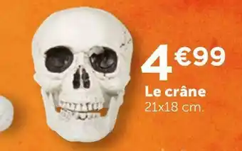 Le crâne
