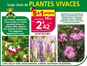 Kiriel PLANTES VIVACES offre