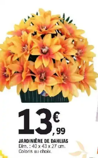Jardinière de Dahlias