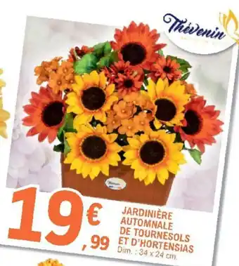 E.Leclerc Jardinière Automnale de Tournesols offre