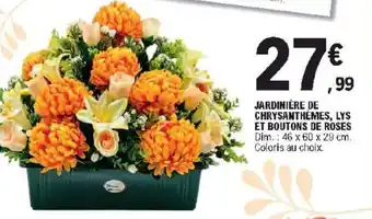 E.Leclerc Jardinière de Chrysanthèmes, Lys Et Boutons de Roses offre
