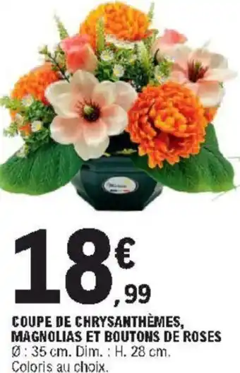 E.Leclerc Coupe de Chrysanthèmes offre