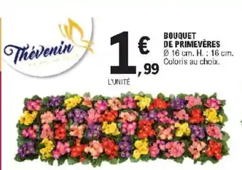 Bouquet de Primevères