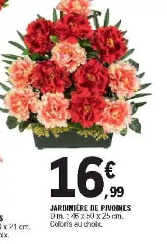 E.Leclerc Jardinière de Pivoines offre