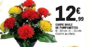 E.Leclerc Coupe Boule de Pomponettes offre