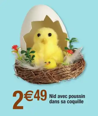 Nid avec poussin dans sa coquille