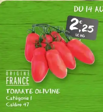 G20 Tomate olivine offre
