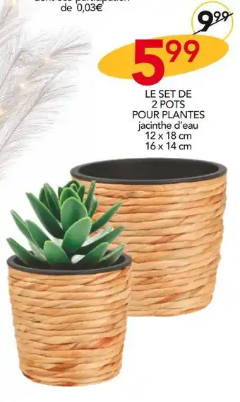 LE SET DE 2 POTS POUR PLANTES