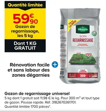 Castorama Vilmorin Gazon de regarnissage universel offre