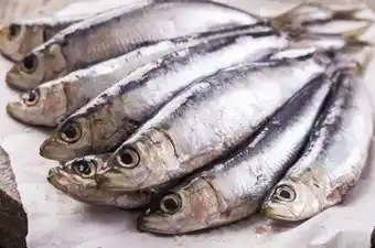 Carrefour Sardine offre