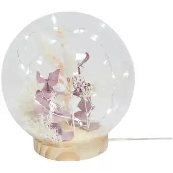 Action Action Boule en verre LED avec fleurs séchées offre