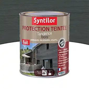 Castorama Protection extérieure teintée bois Syntilor Anthracite 1L - 8 ans offre