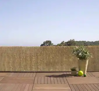 Bricorama Canisse roseaux naturels - 1x5m offre
