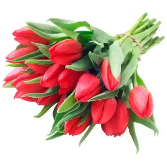 Auchan Bouquet De 14 Tulipes offre