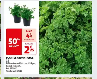 Auchan PLANTES AROMATIQUES offre
