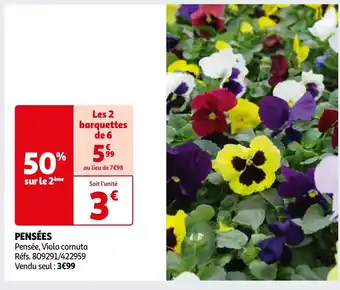Auchan PENSÉES offre